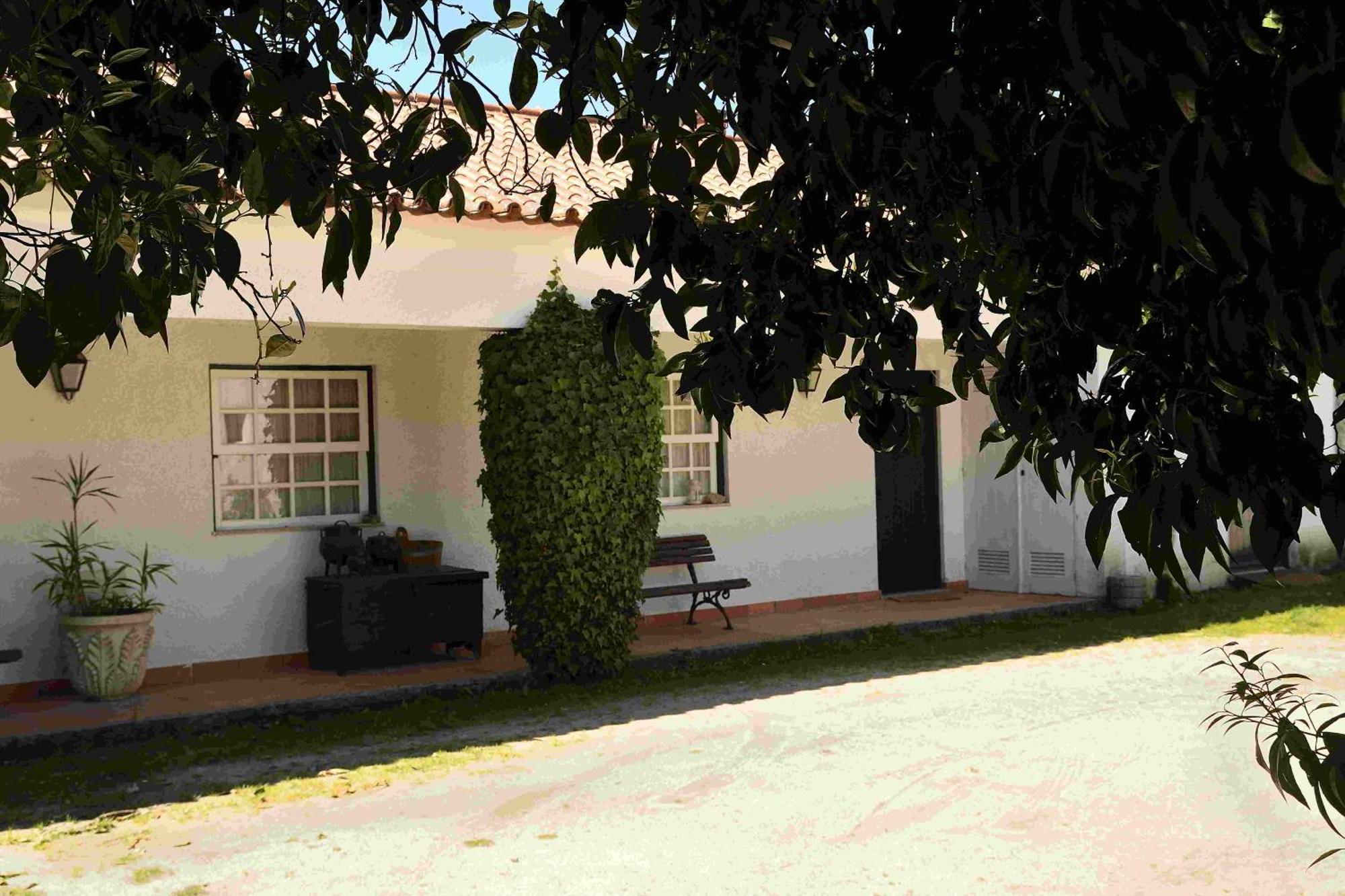 Quinta Da Fata Villa Nelas Kültér fotó