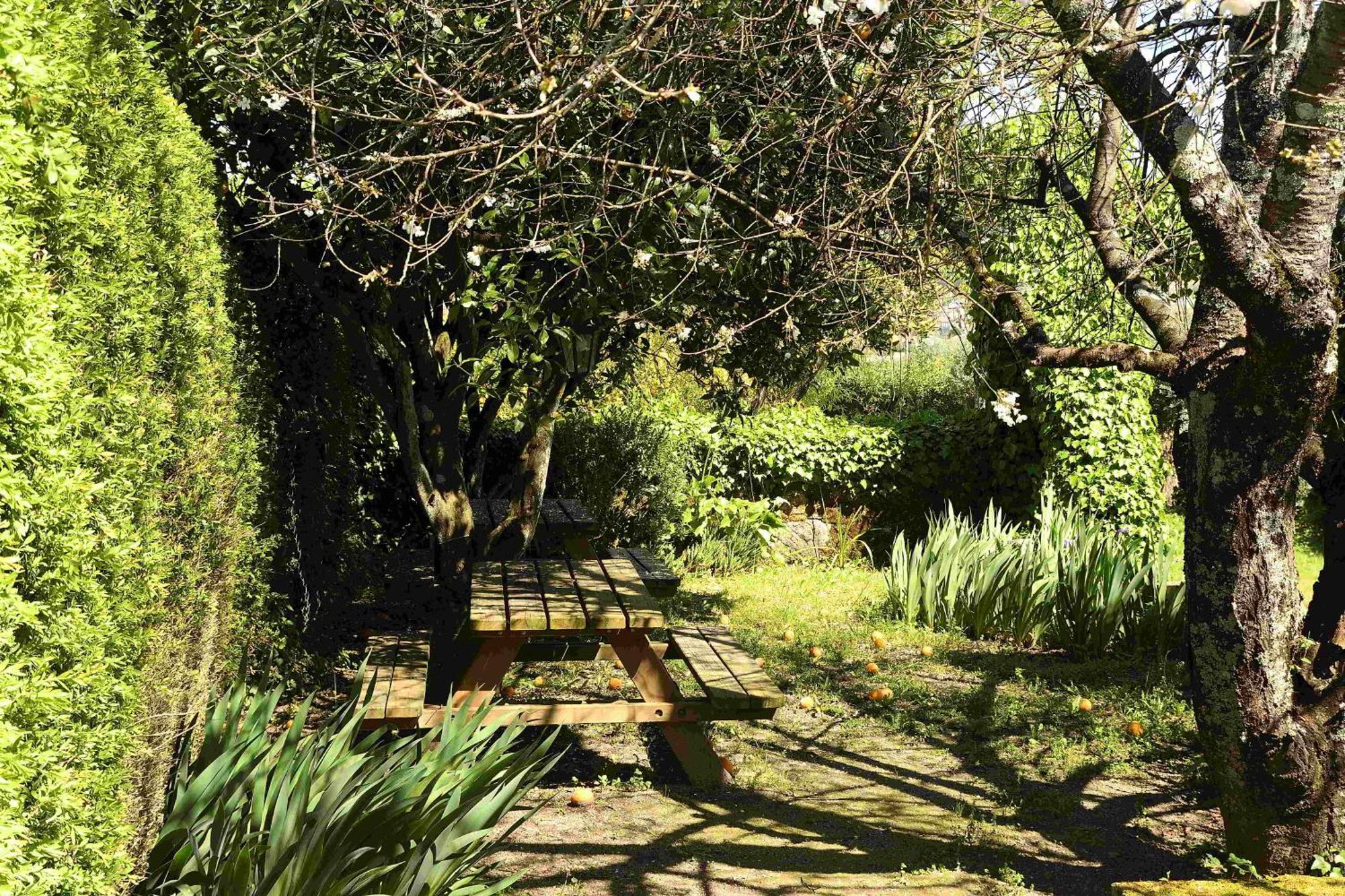 Quinta Da Fata Villa Nelas Kültér fotó