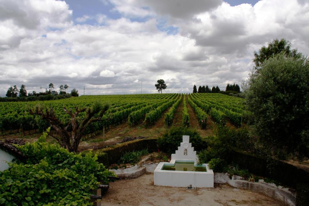 Quinta Da Fata Villa Nelas Kültér fotó